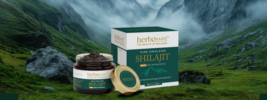 Common Myths and Facts About Shilajit