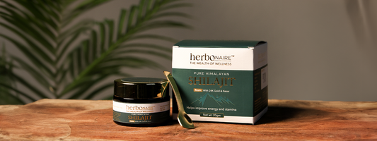 Common Myths and Facts About Shilajit