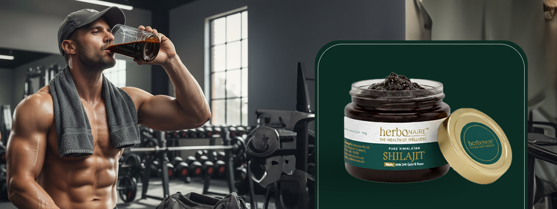 Is Shilajit Pure? How to Identify Authentic Shilajit