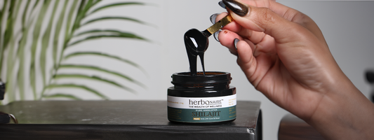 Is Shilajit Pure? How to Identify Authentic Shilajit