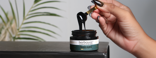 Is Shilajit Pure? How to Identify Authentic Shilajit