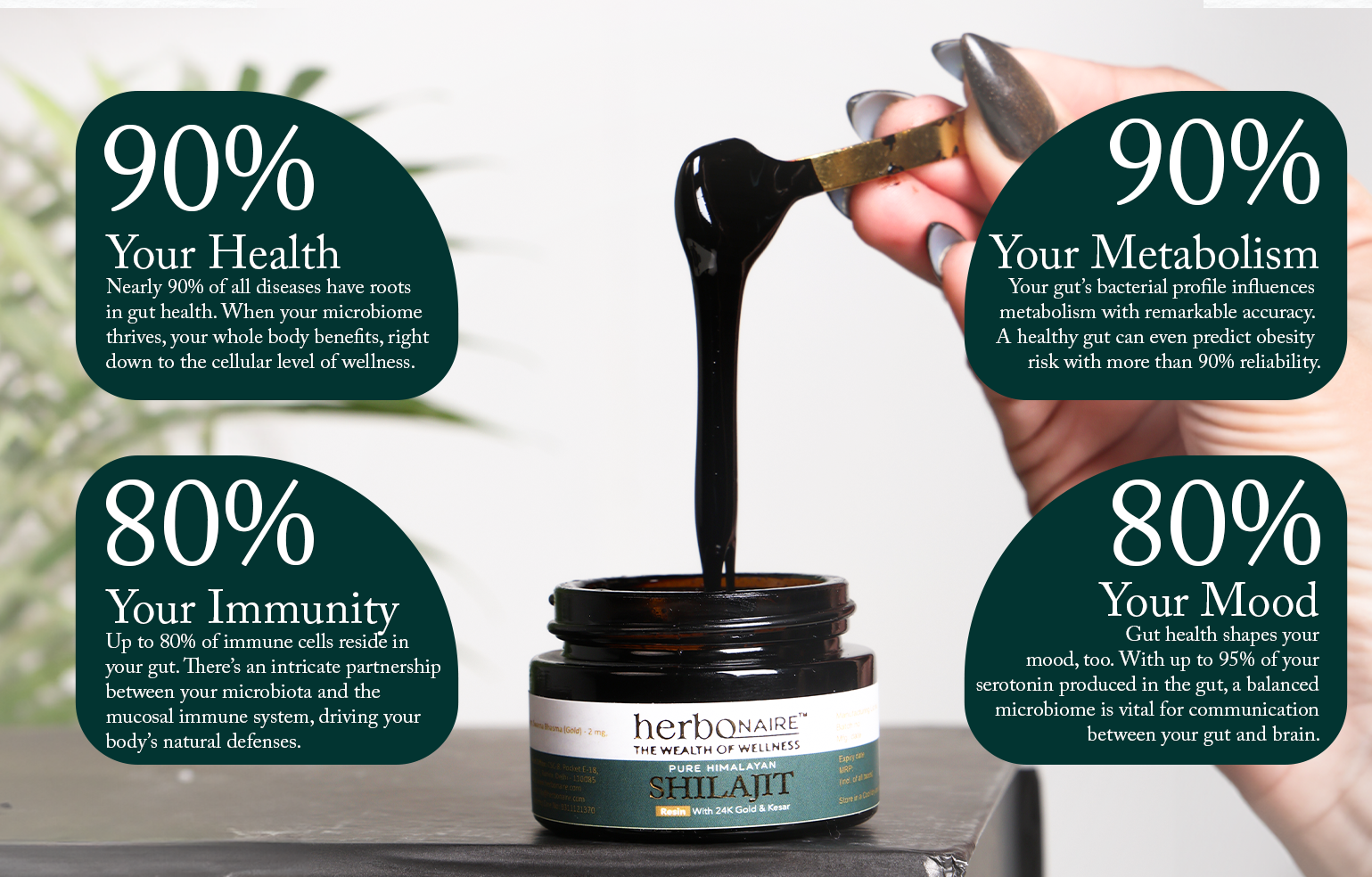 Custom Section Image