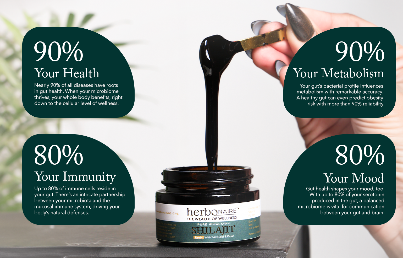 Custom Section Image